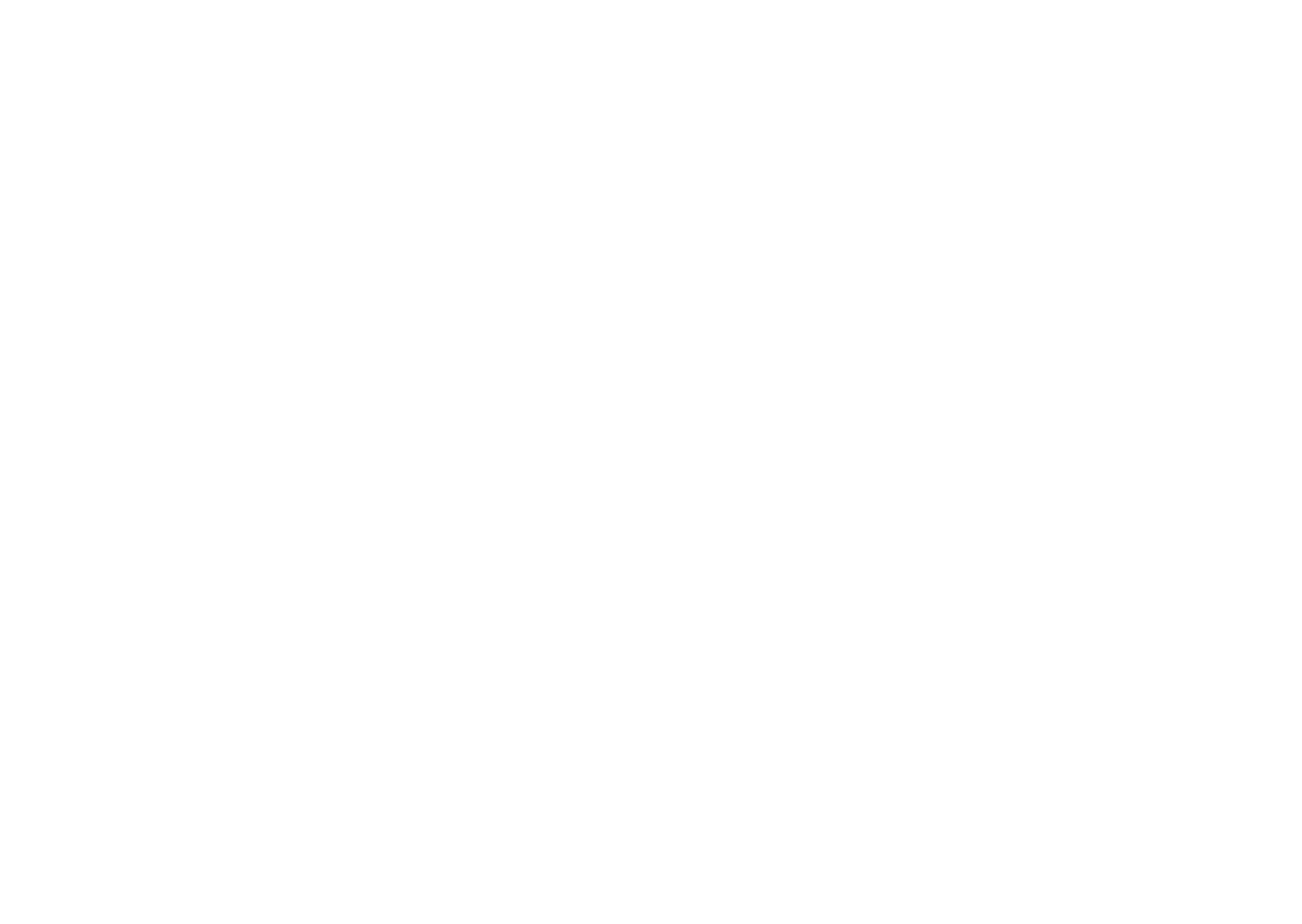 bizinelli